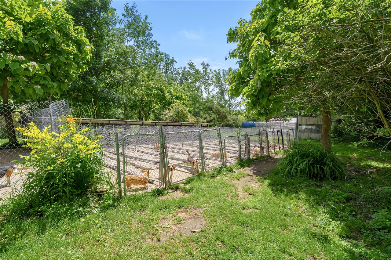main property photo 58
