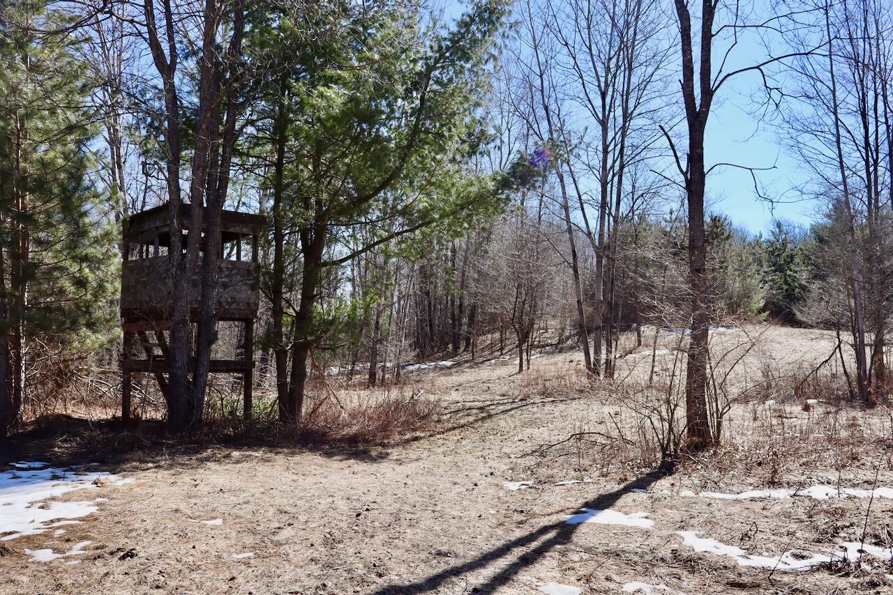 main property photo 0
