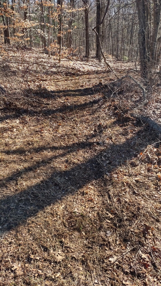 main property photo 27
