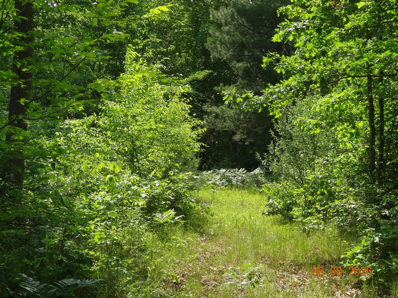 main property photo 17
