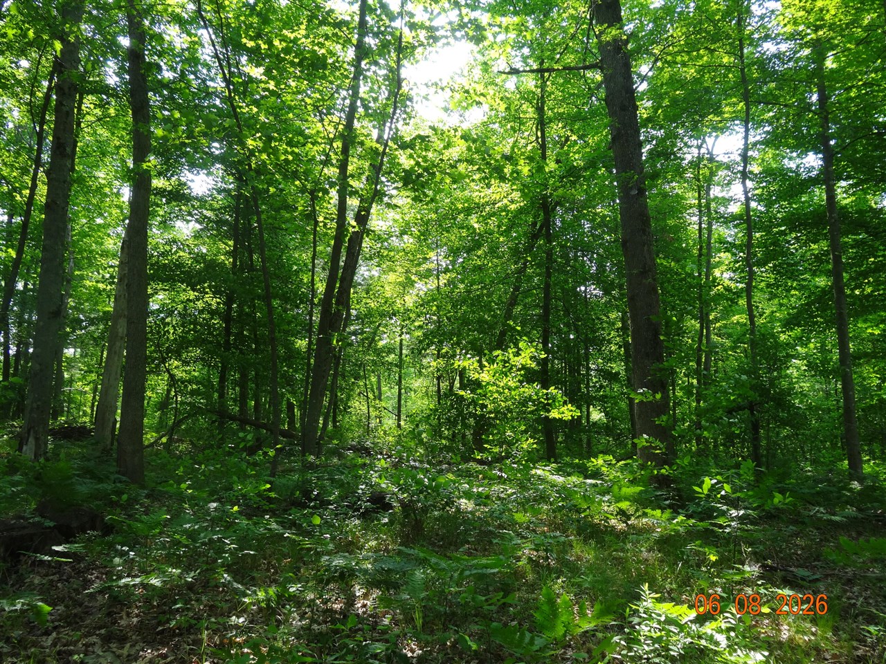 main property photo 10