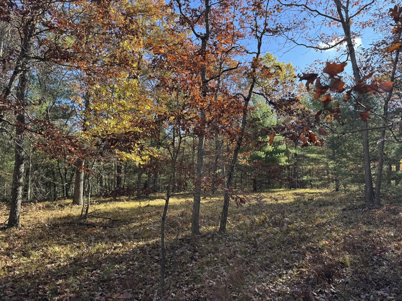 main property photo 0