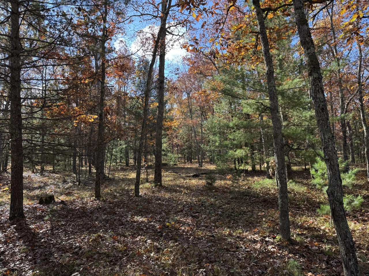 main property photo 0