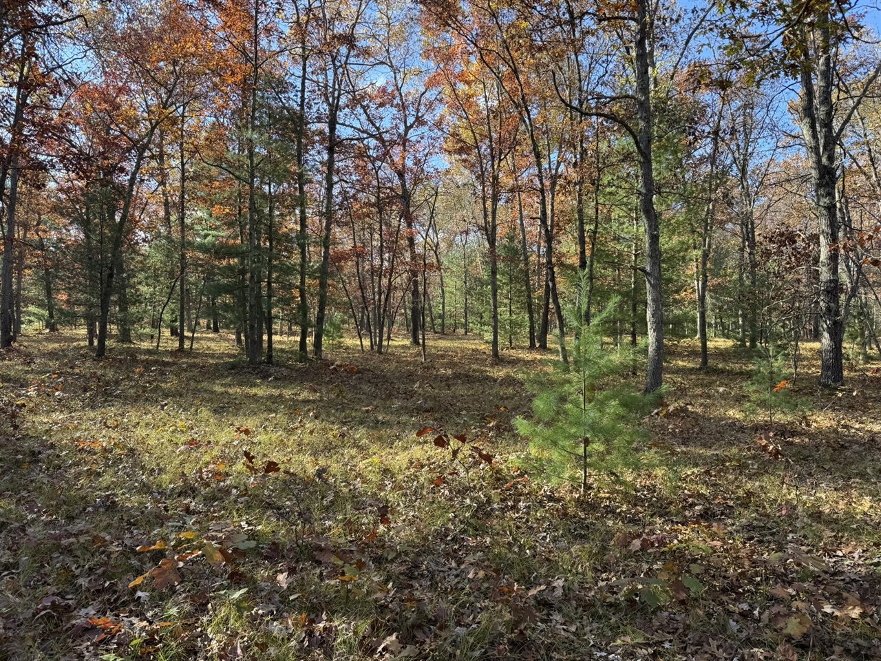 main property photo 5