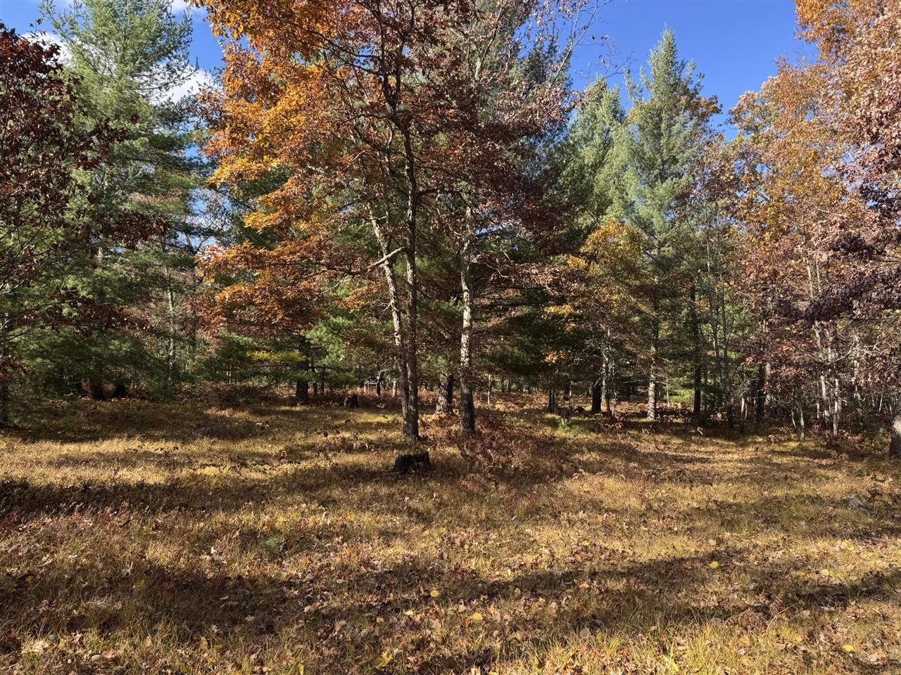 main property photo 0