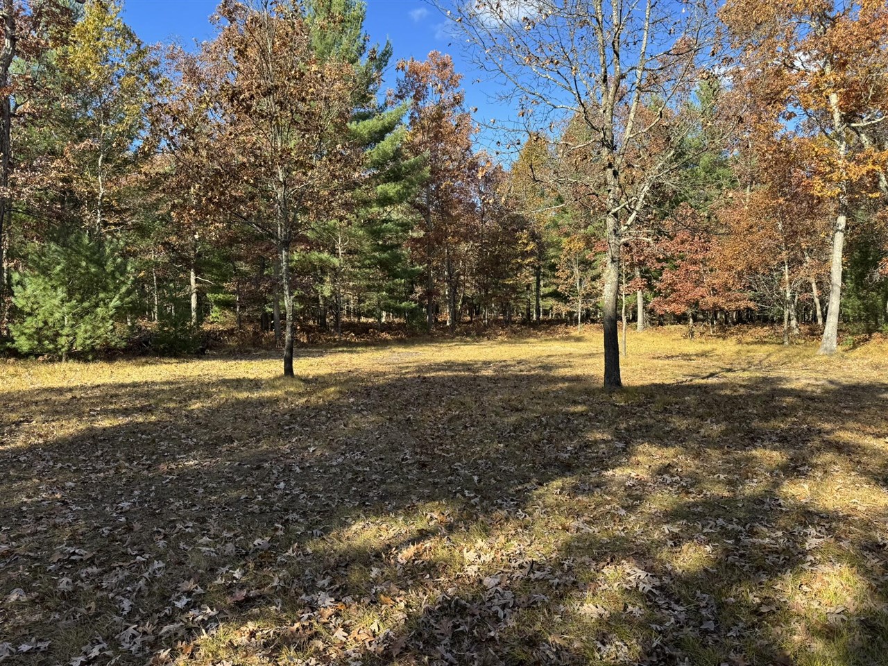 main property photo 0