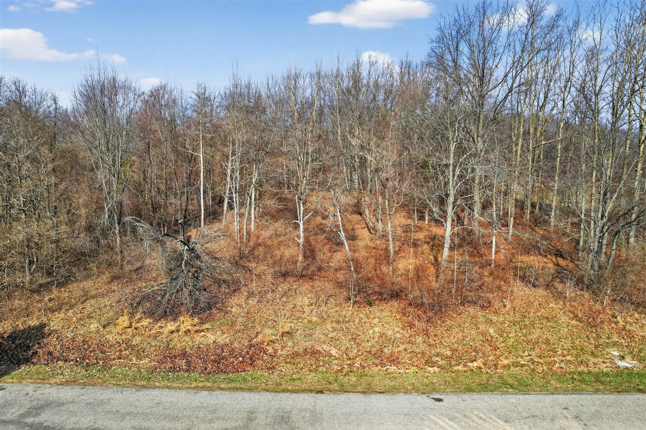 main property photo 5