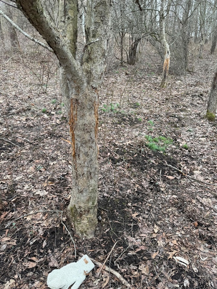 main property photo 14