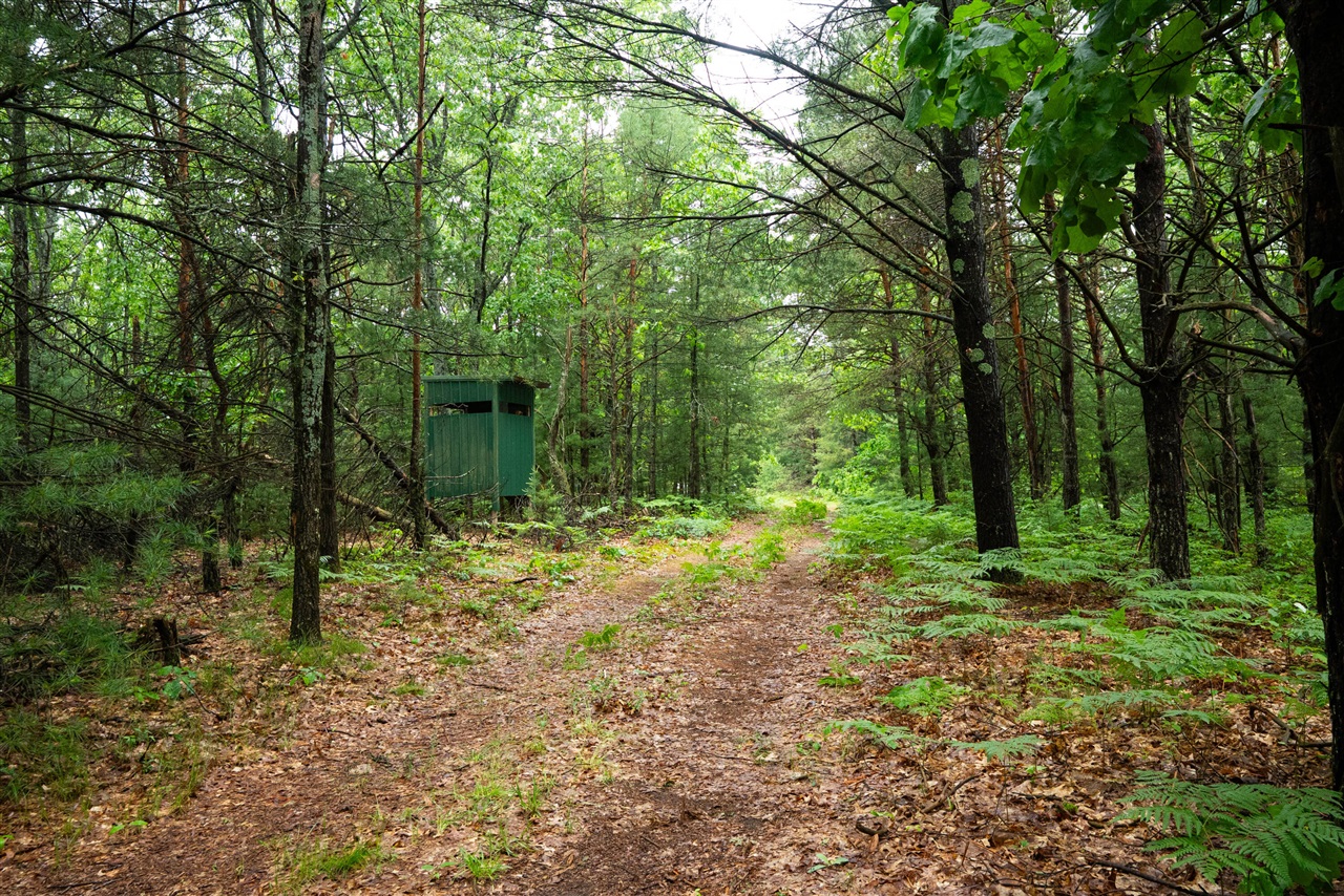 main property photo 0