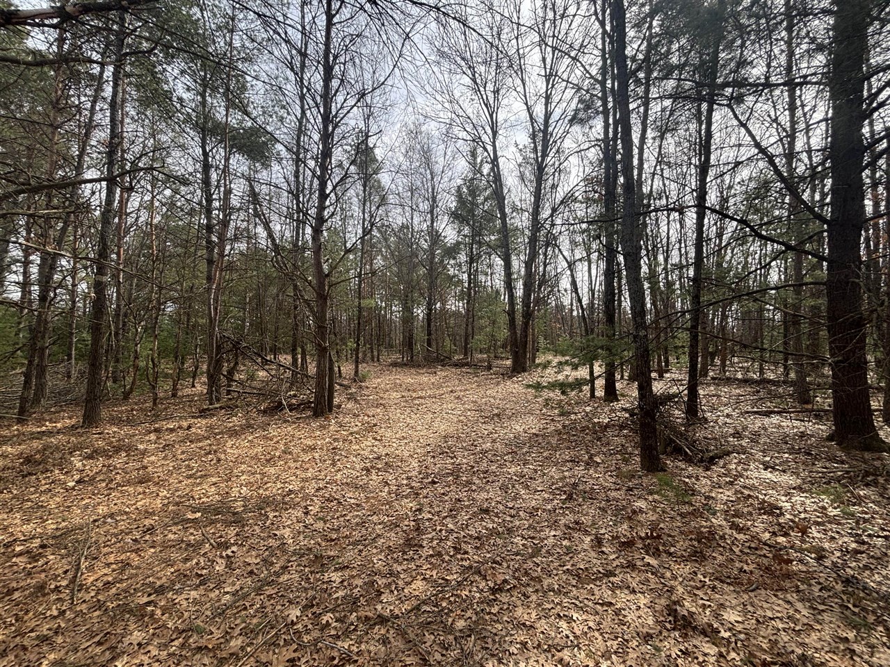 main property photo 16