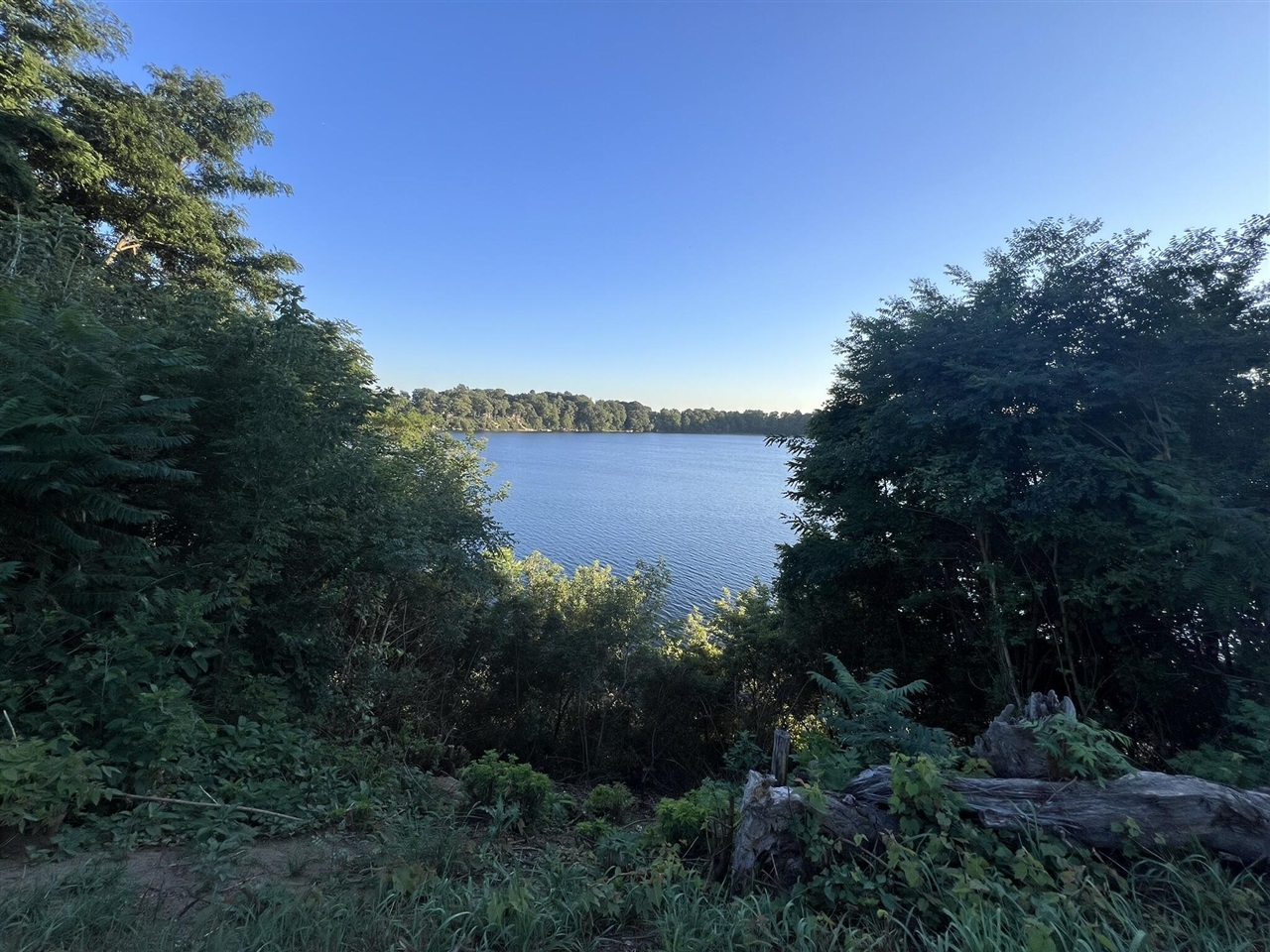 main property photo 42