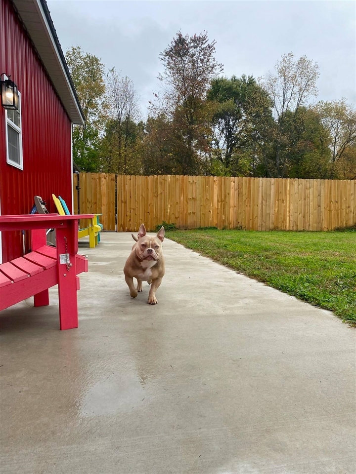 main property photo 27