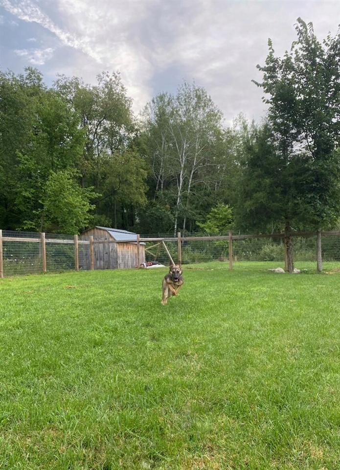 main property photo 37