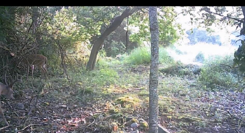 main property photo 46