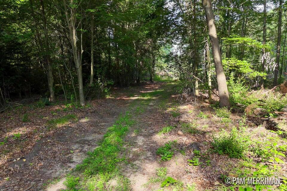 main property photo 0