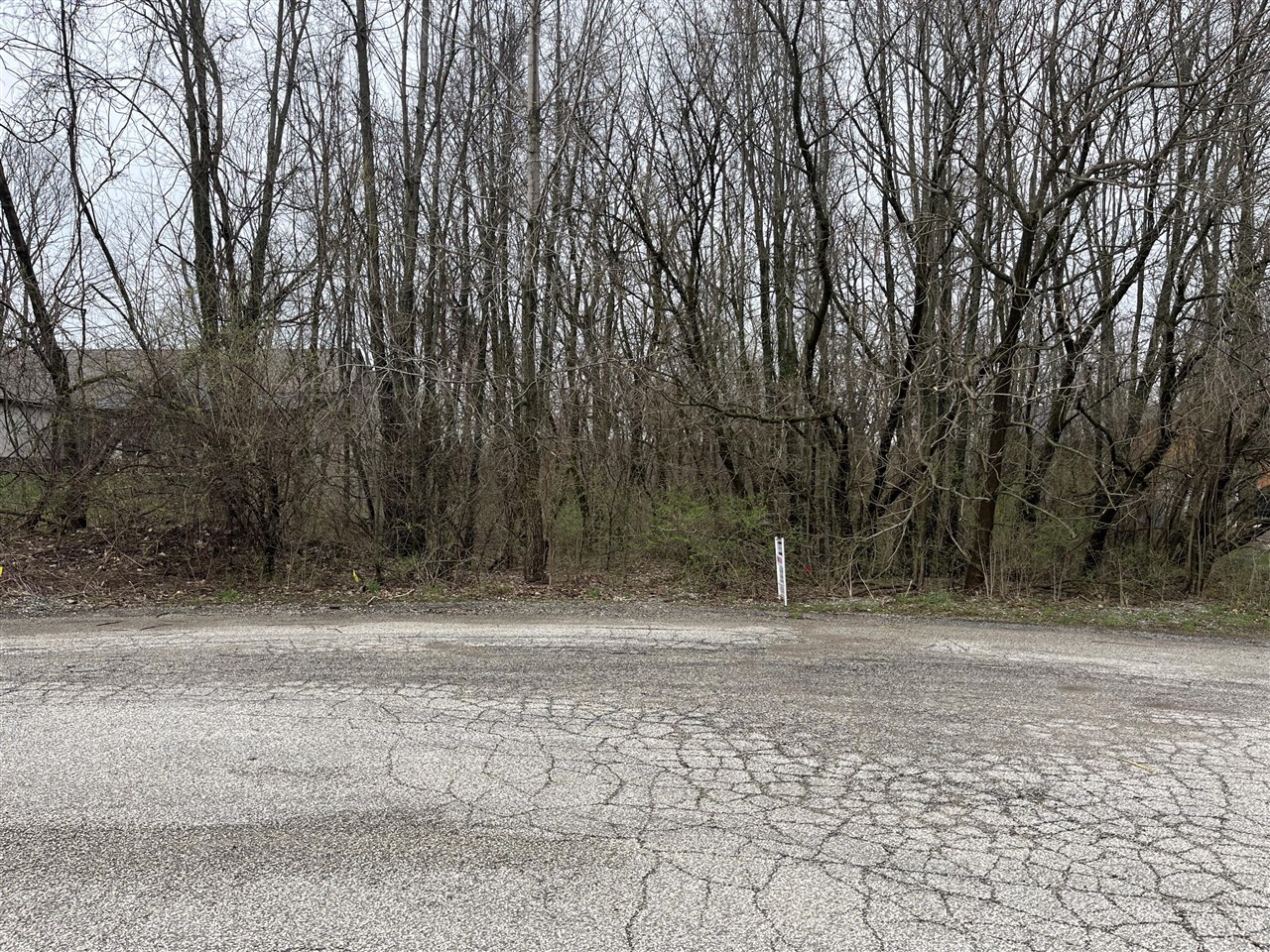 main property photo 0