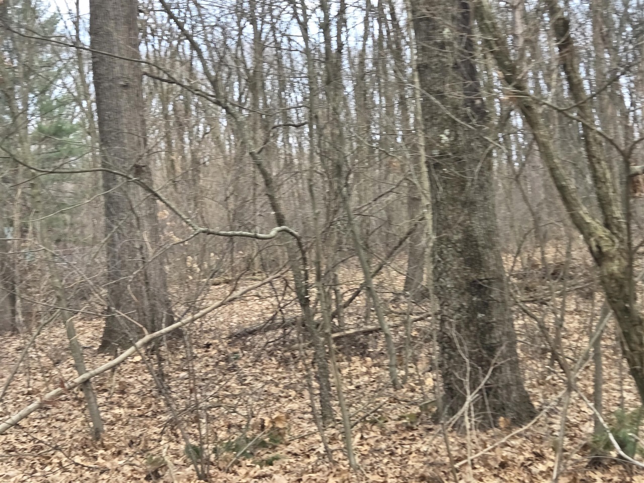 main property photo 54