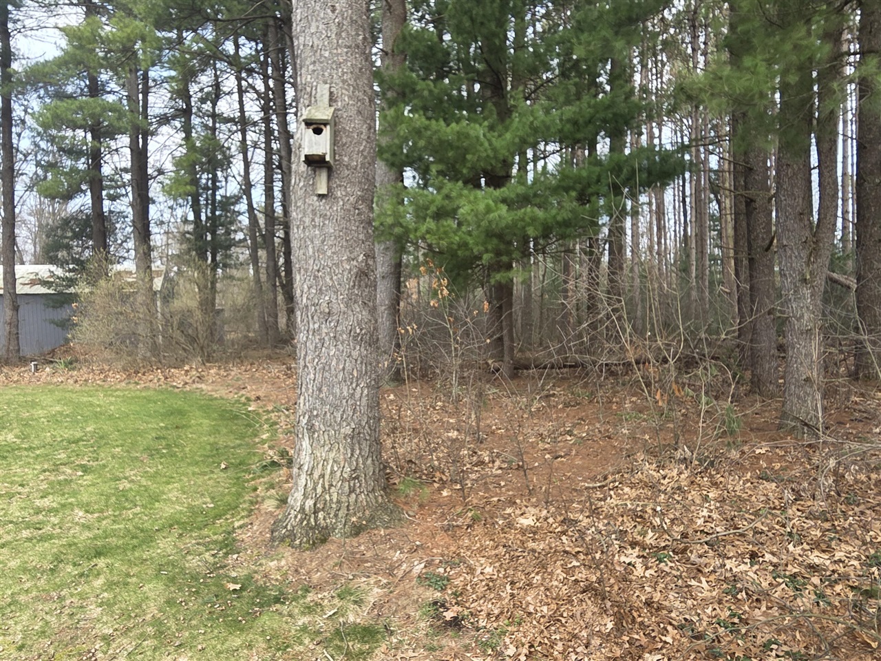 main property photo 55