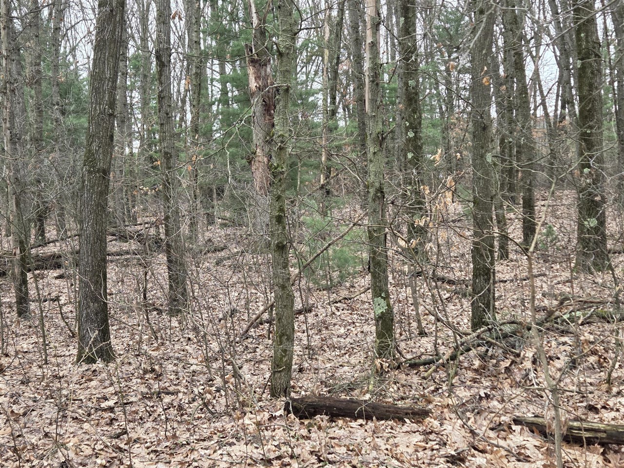 main property photo 56