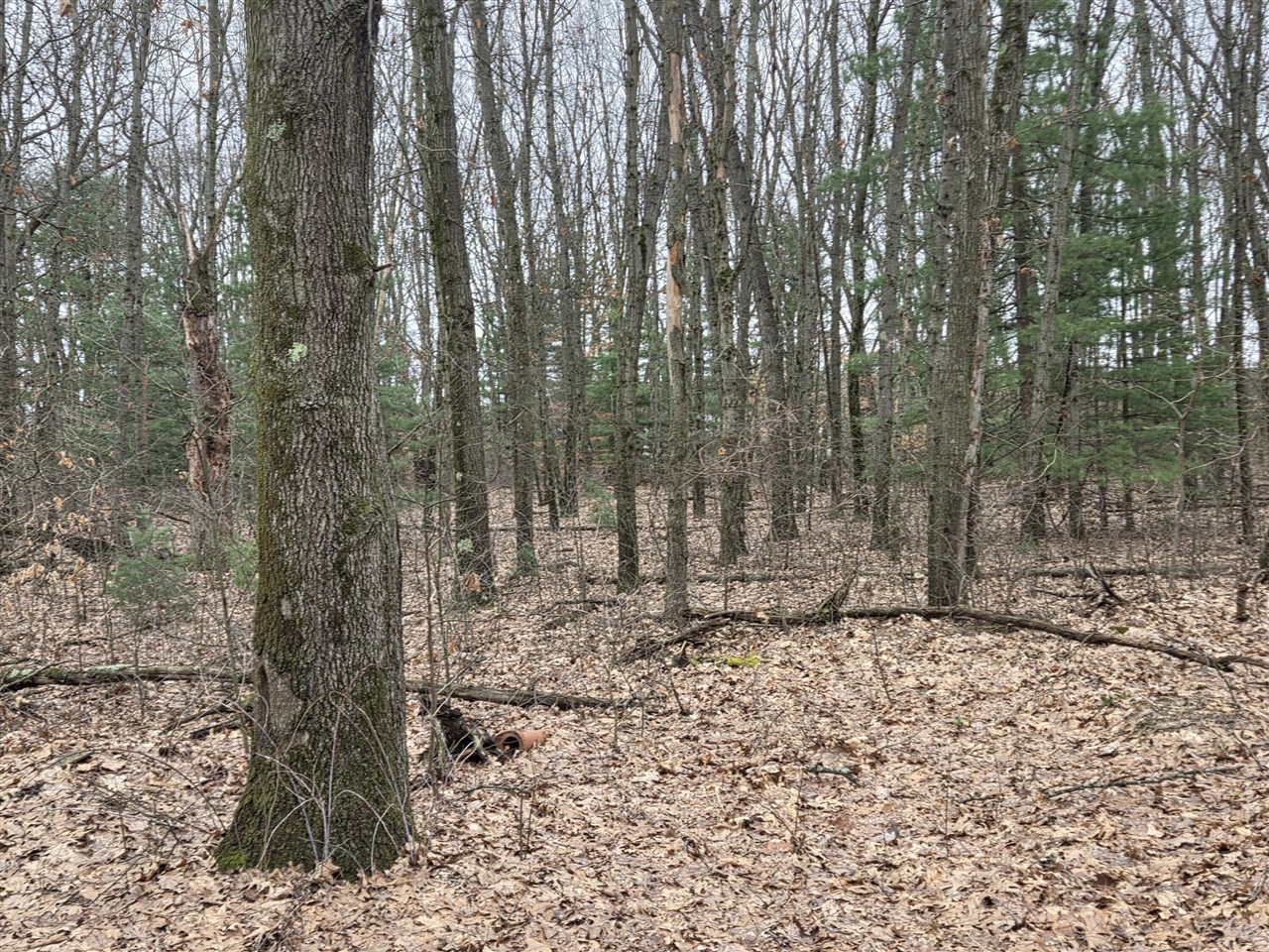 main property photo 57