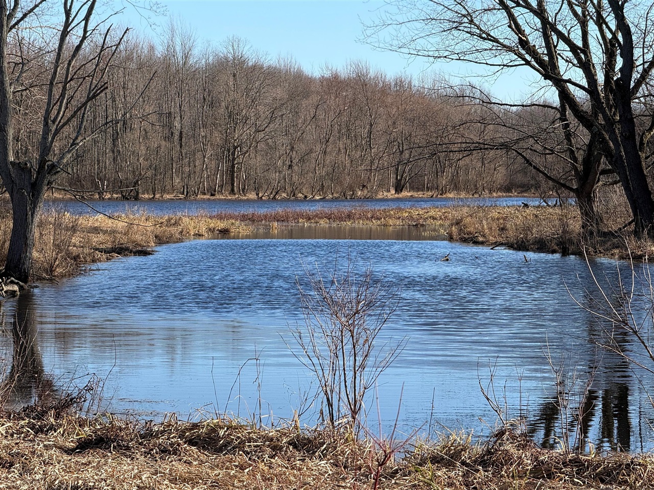 main property photo 0