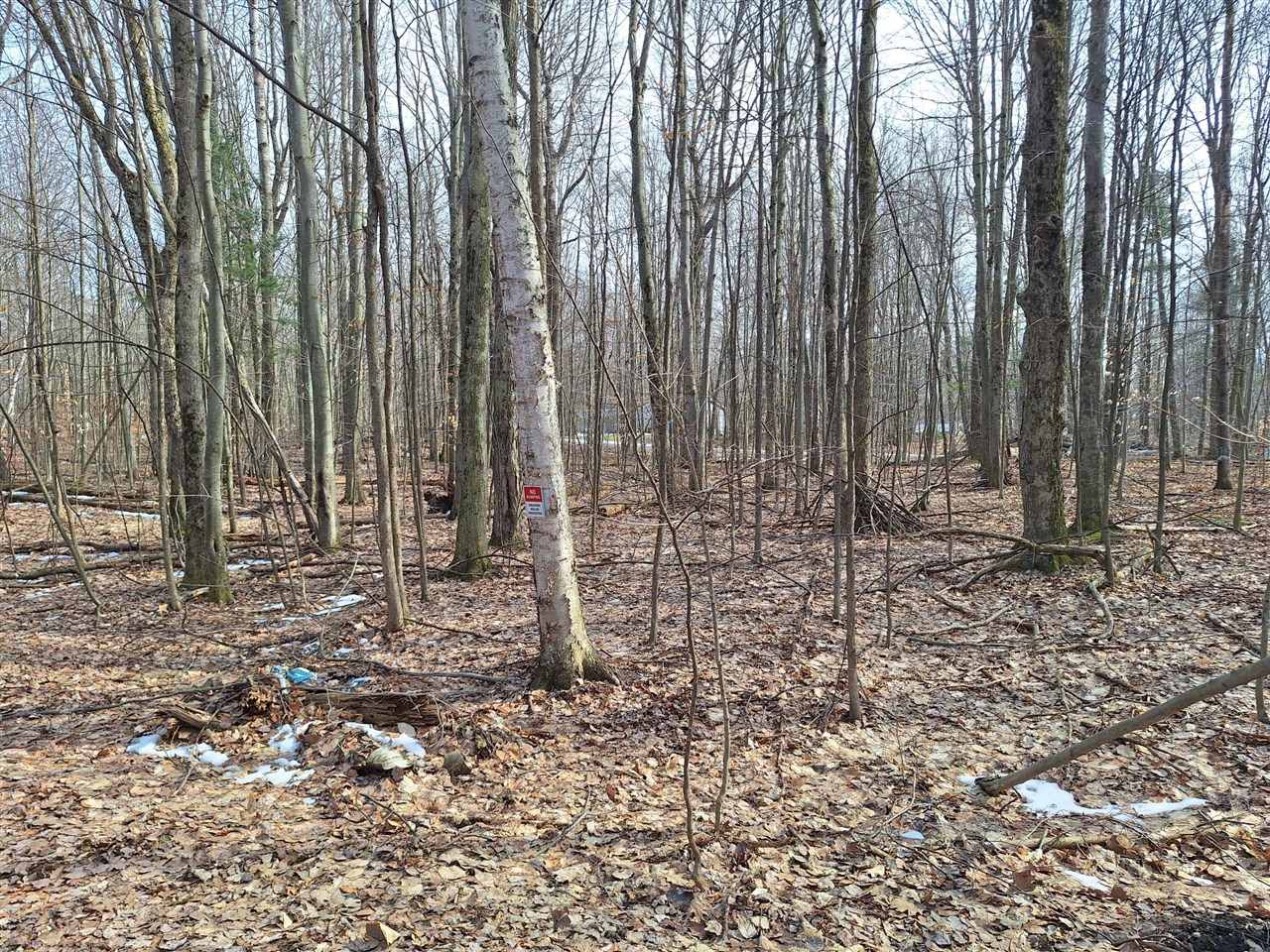 main property photo 0