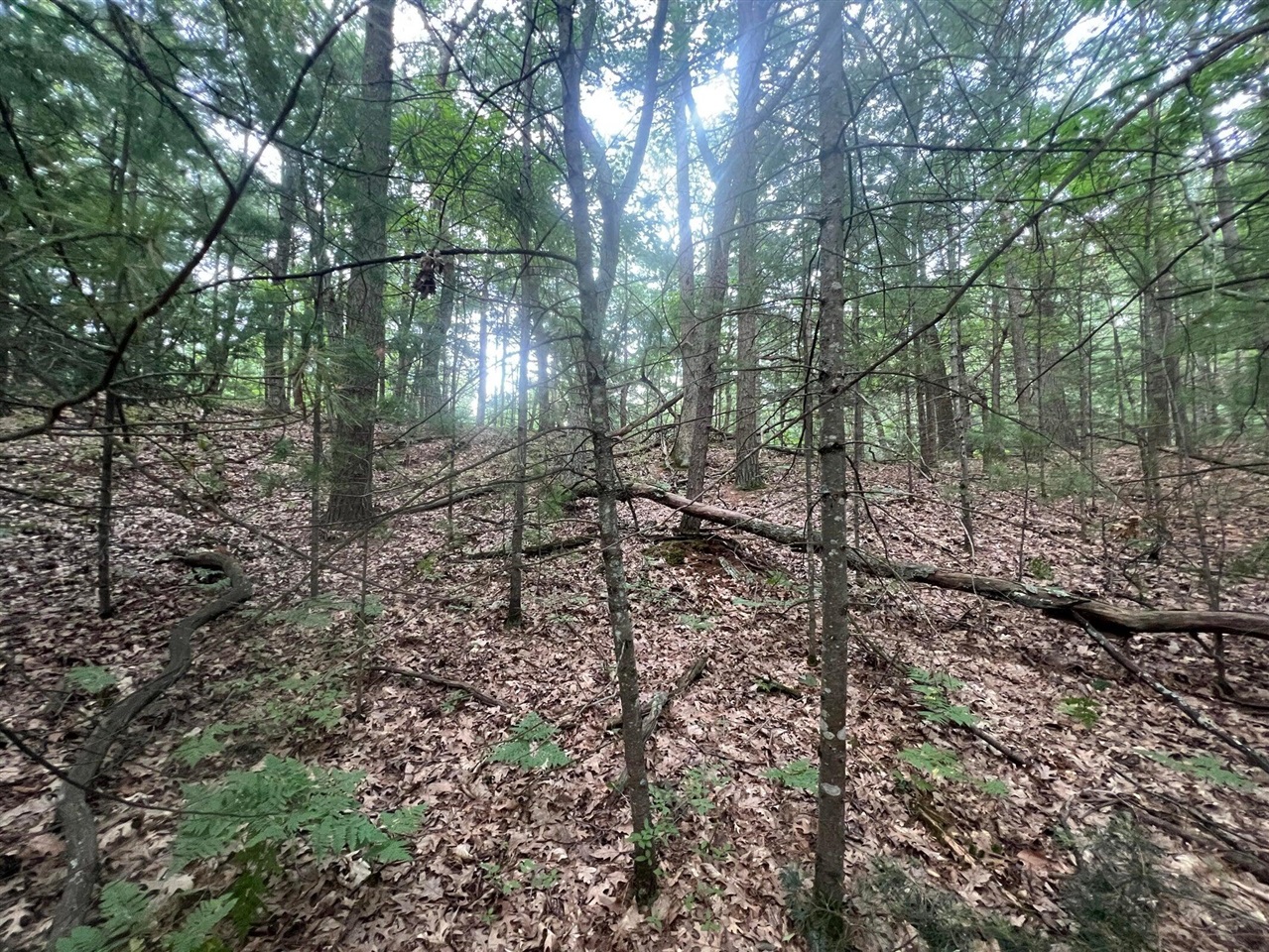 main property photo 0