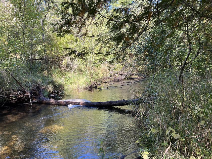 main property photo 0