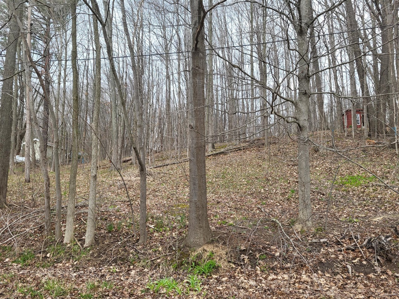 main property photo 0