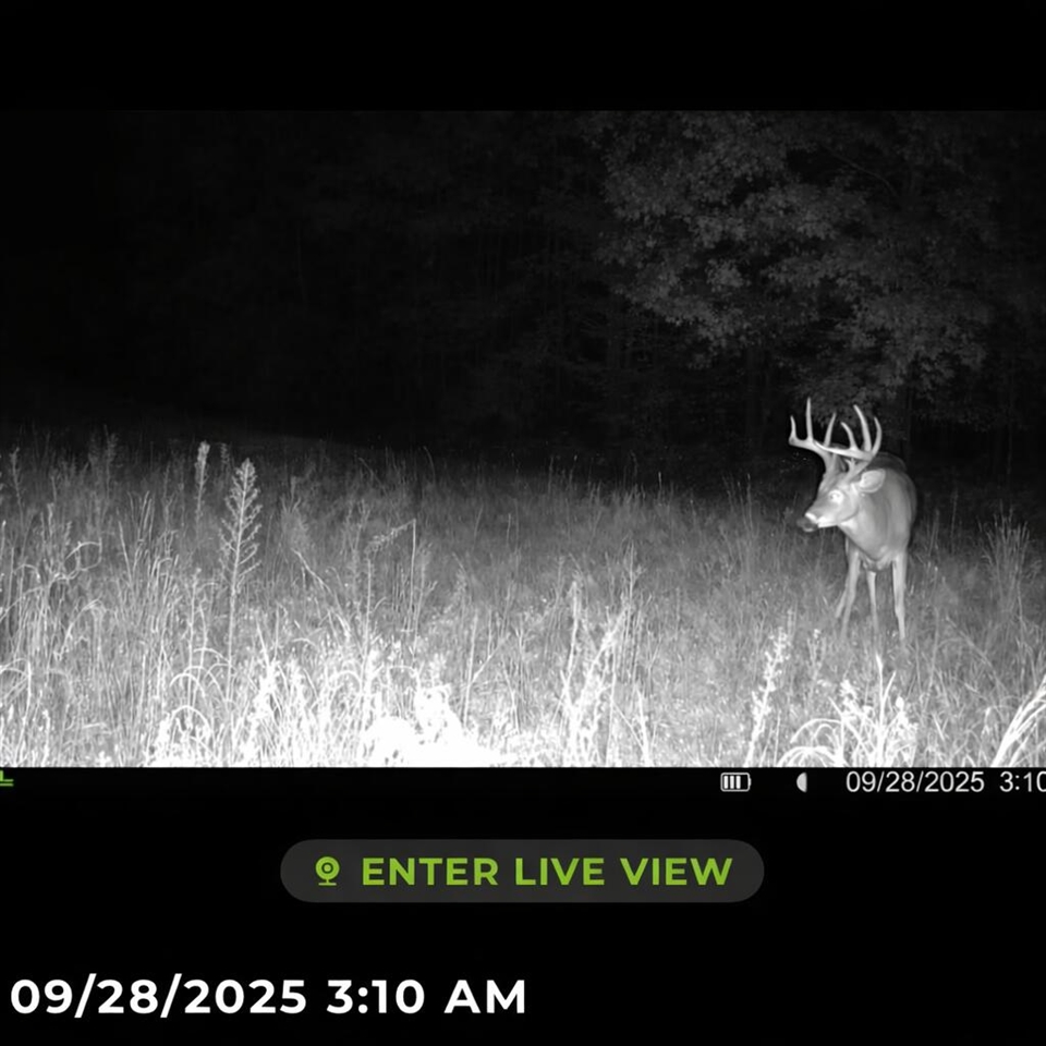 main property photo 18