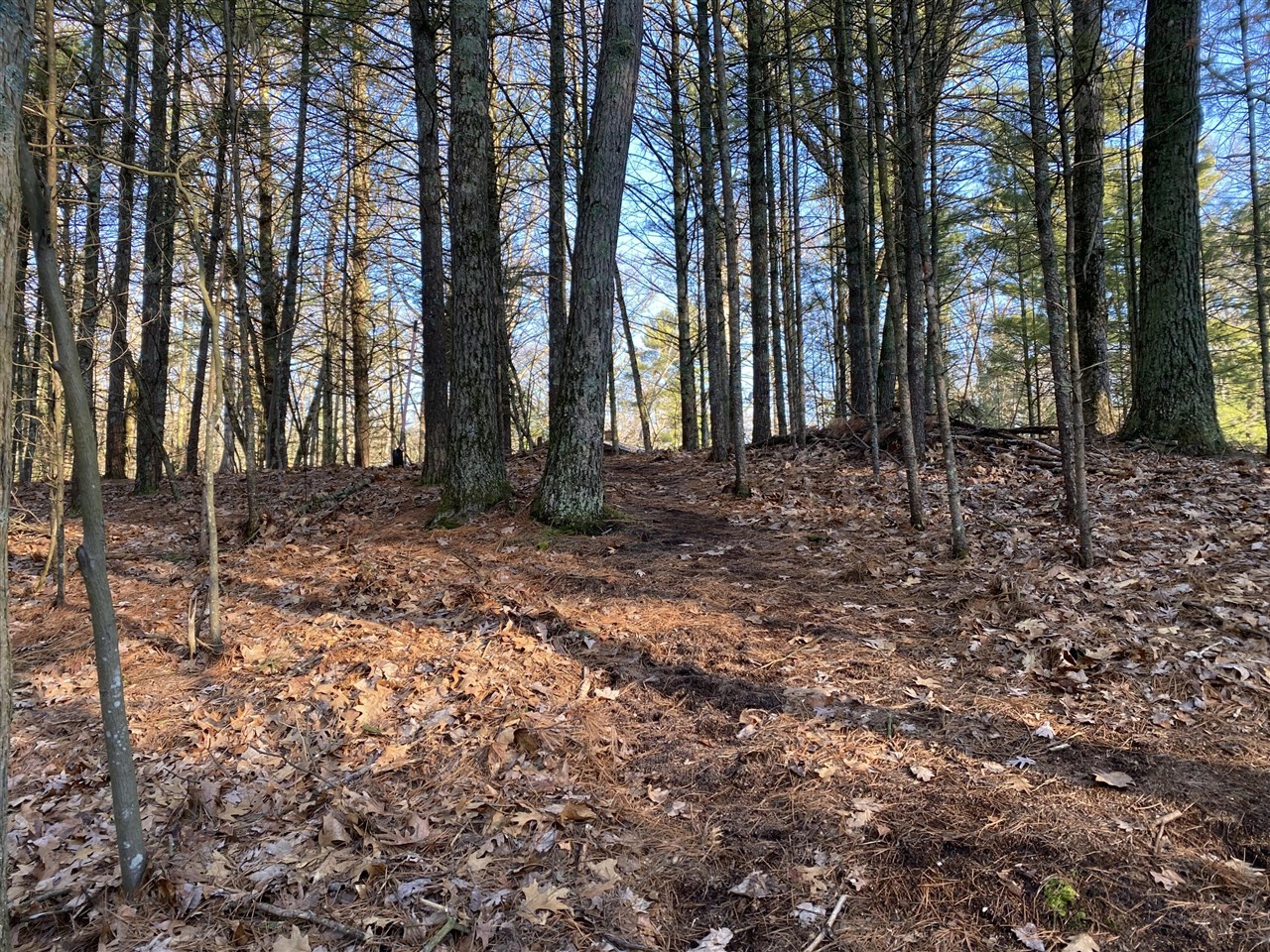 main property photo 9