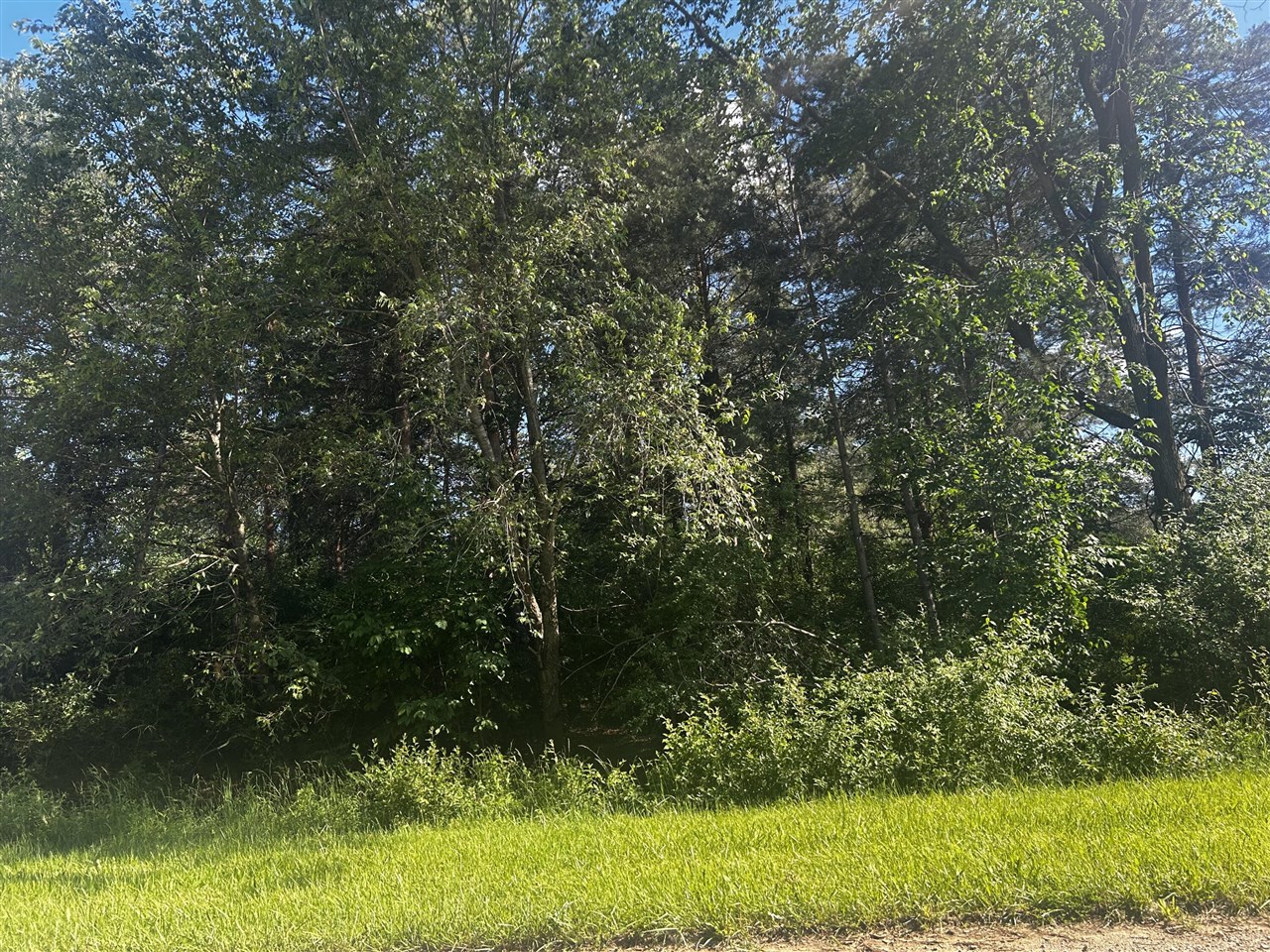 main property photo 10