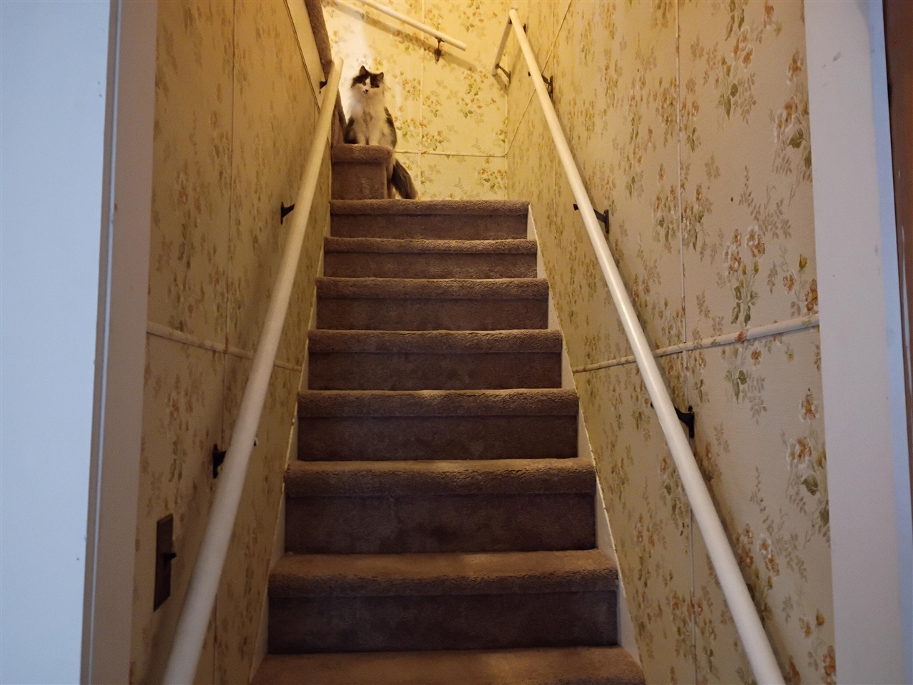 main property photo 13