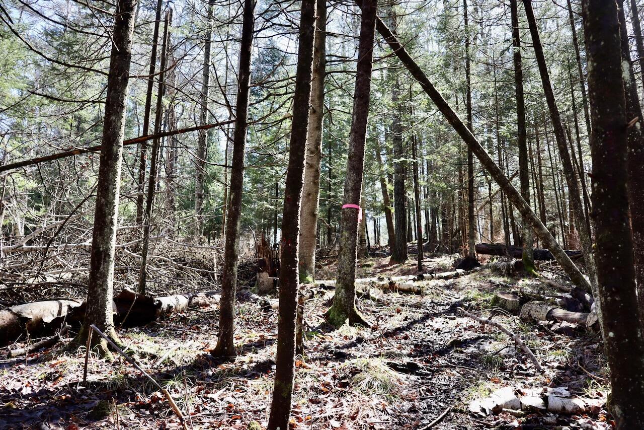 main property photo 68