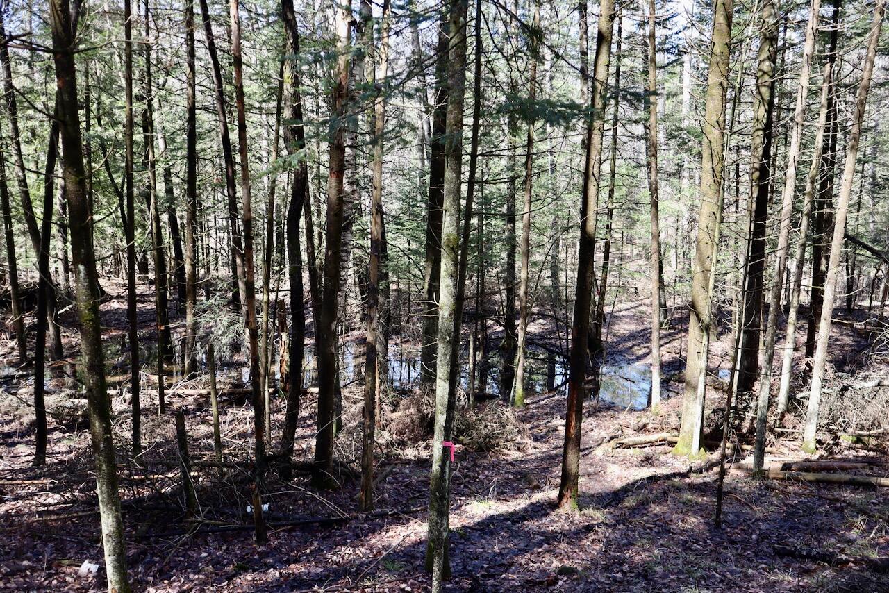 main property photo 69