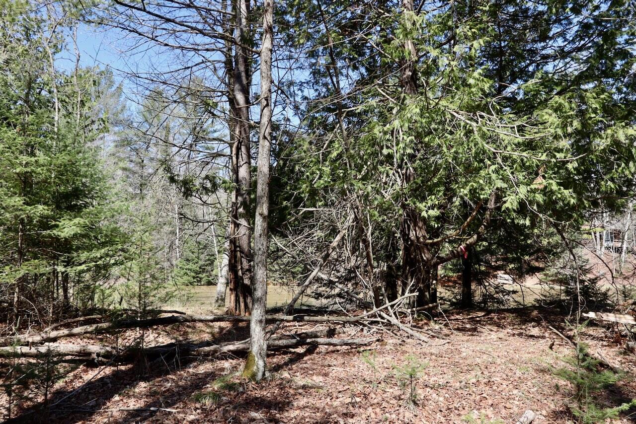 main property photo 71
