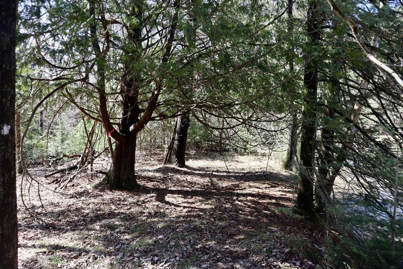 main property photo 73