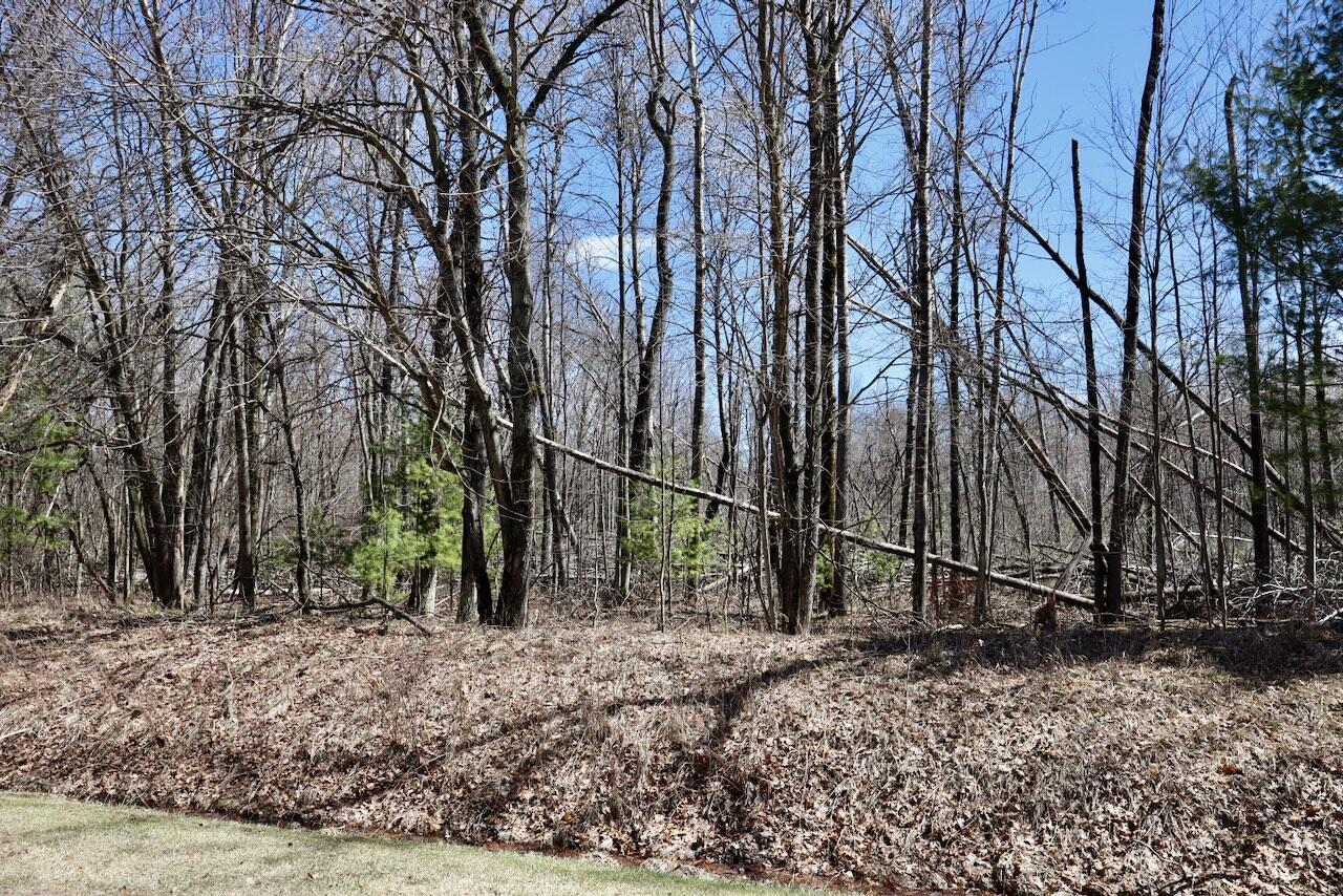 main property photo 80