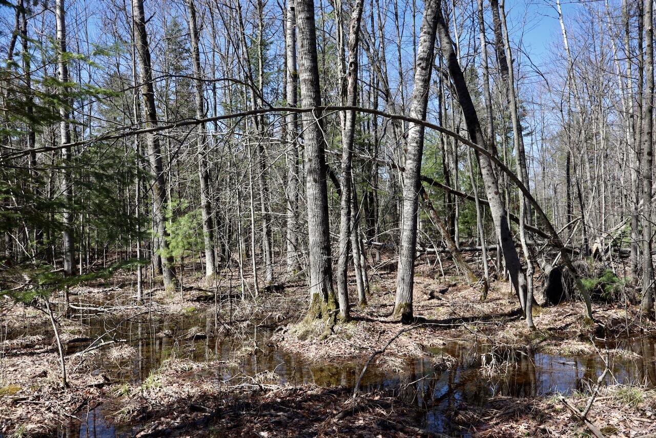 main property photo 81