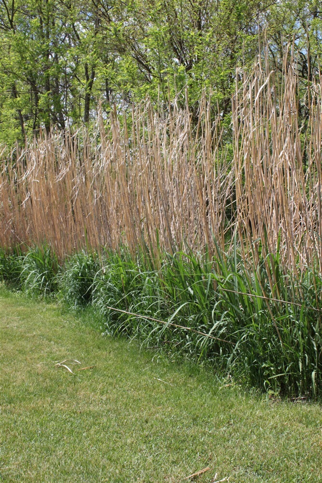 main property photo 48