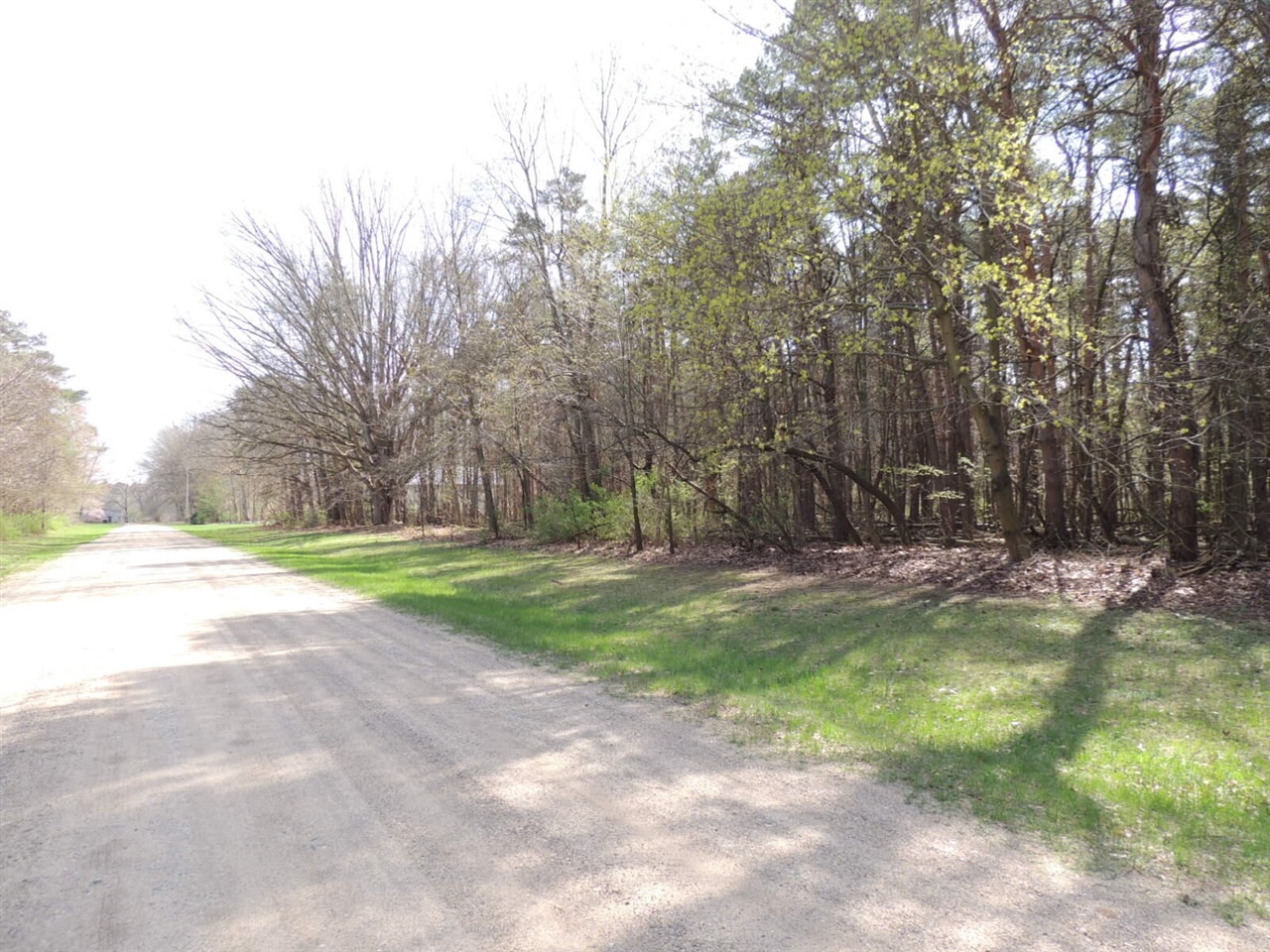 main property photo 54