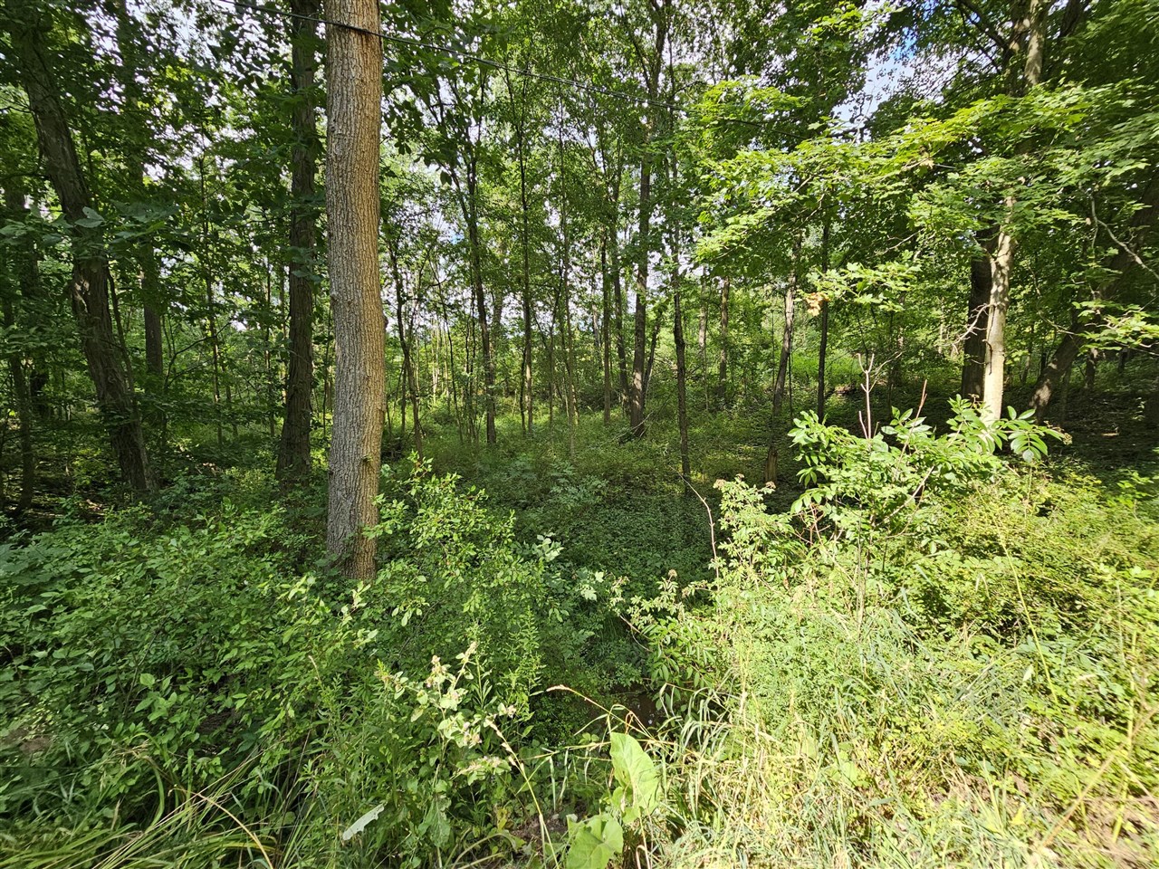 main property photo 10