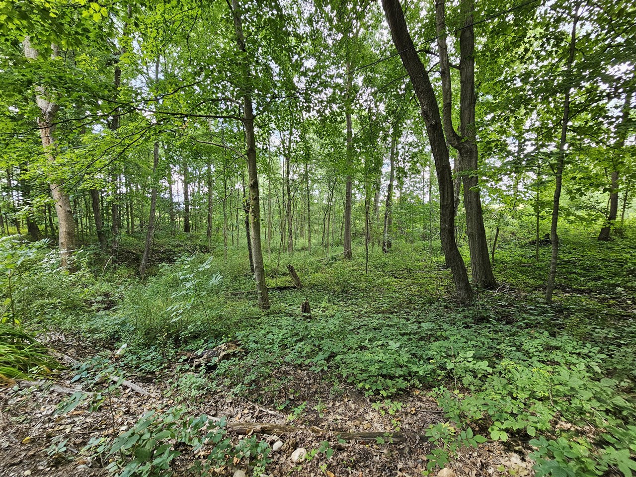 main property photo 11