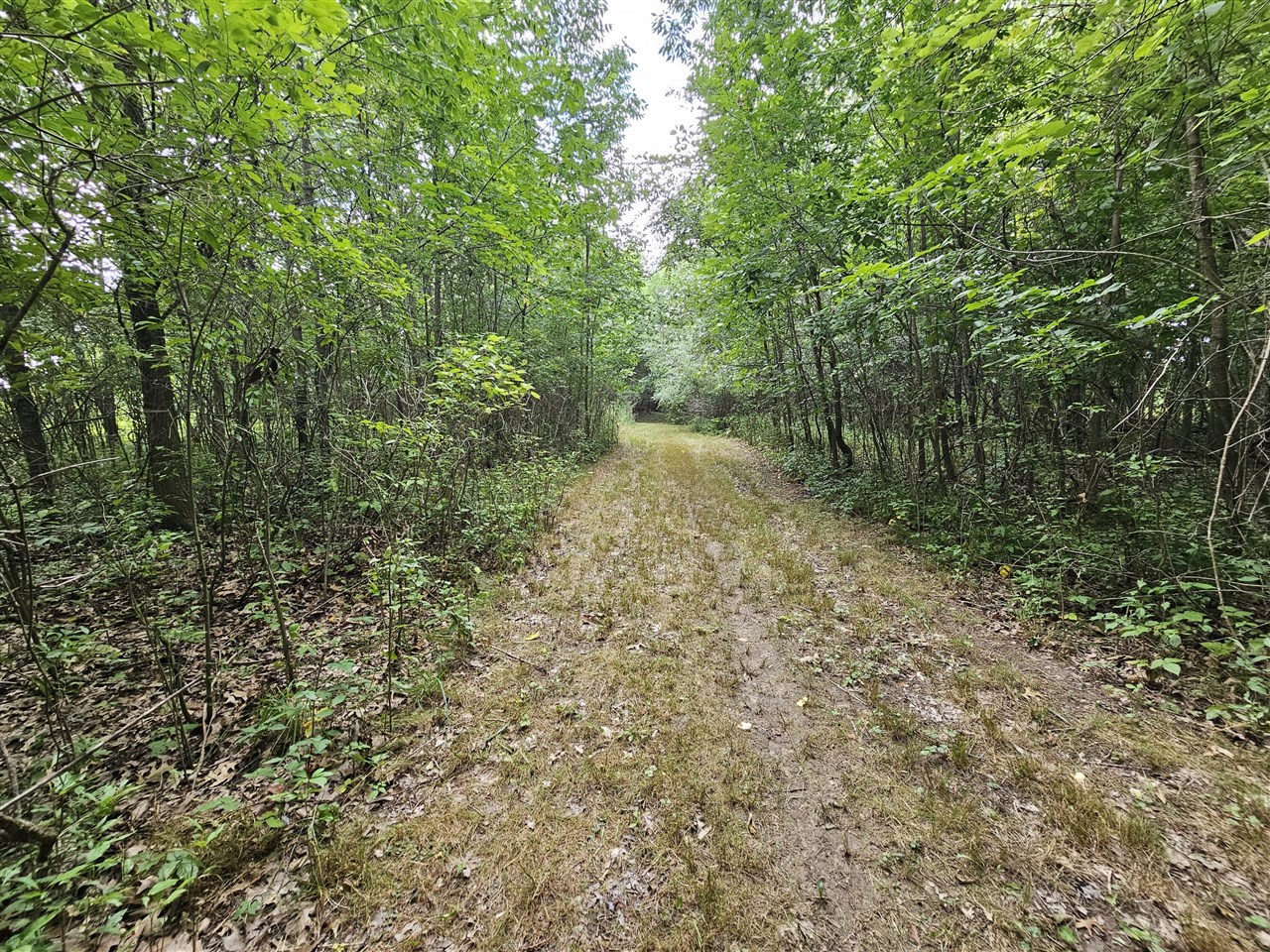 main property photo 23