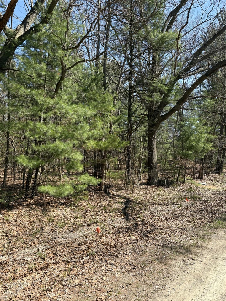 main property photo 0