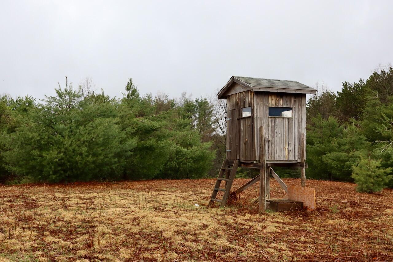 main property photo 18