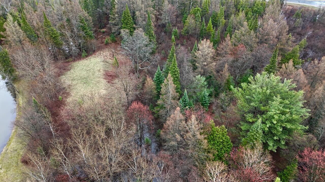 main property photo 74