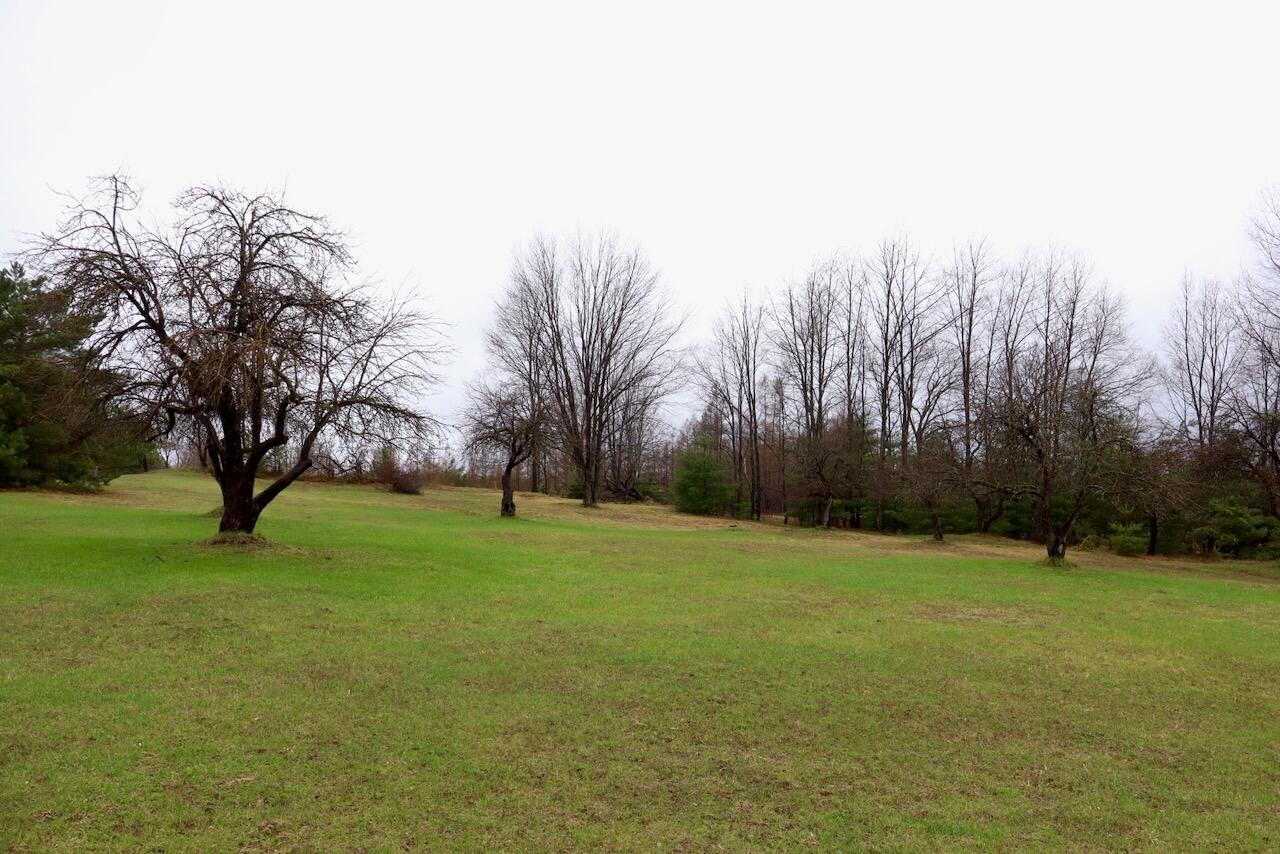 main property photo 82