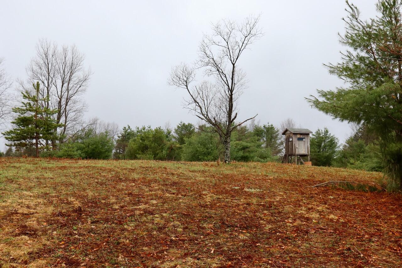 main property photo 84
