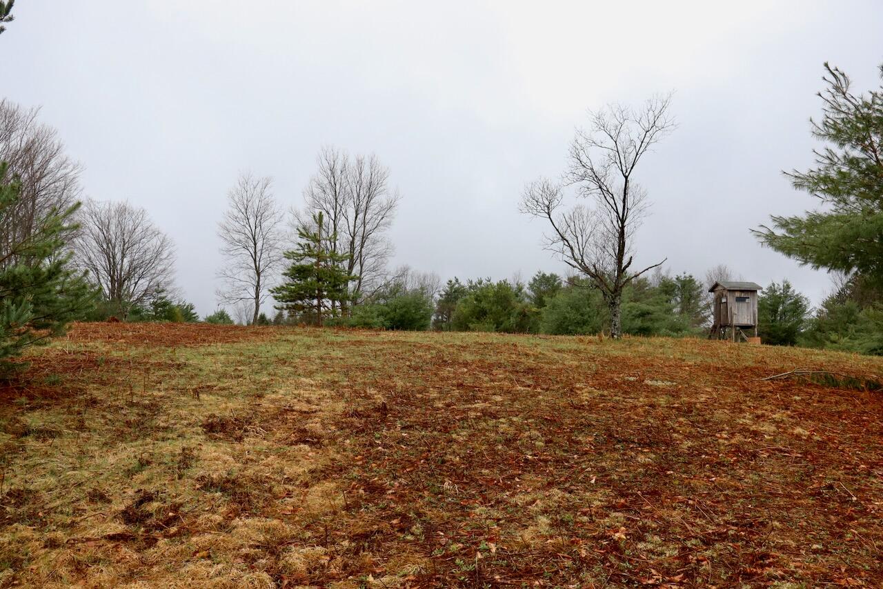 main property photo 85